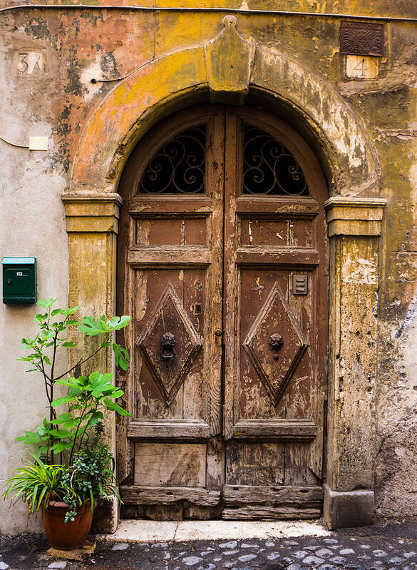 Door Poster featuring the photograph Roman Door by Mike Evangelist