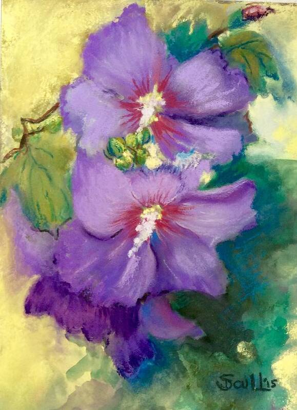 Flowers Poster featuring the pastel Rose of Sharon by Judith Scull