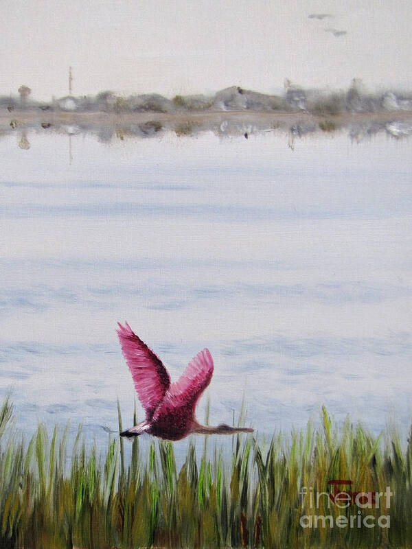 Roseate Spoonbill Poster featuring the painting Roseate Spoonbill Flight Over the Bay by Jimmie Bartlett
