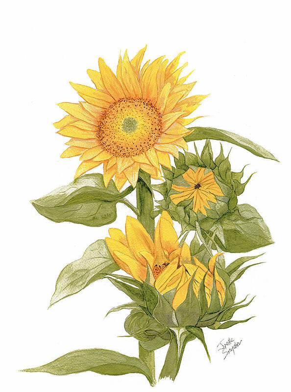 Joette Snyder Poster featuring the painting Sally's Sunflowers by Joette Snyder