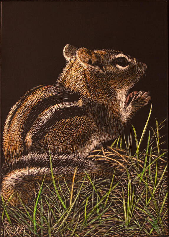 Chipmunk Poster featuring the painting Say a prayer for me by Margaret Sarah Pardy