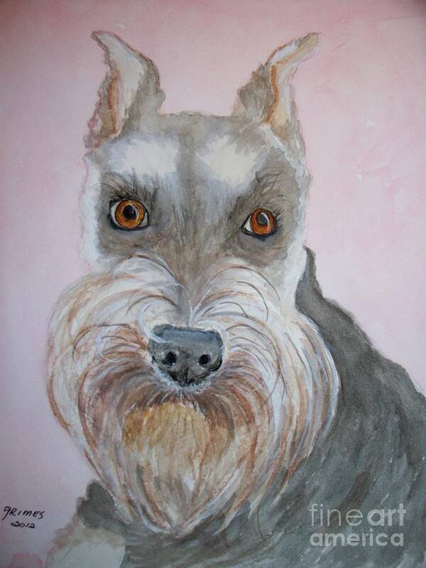 Schnauzer Poster featuring the painting Schnauzer by Carol Grimes