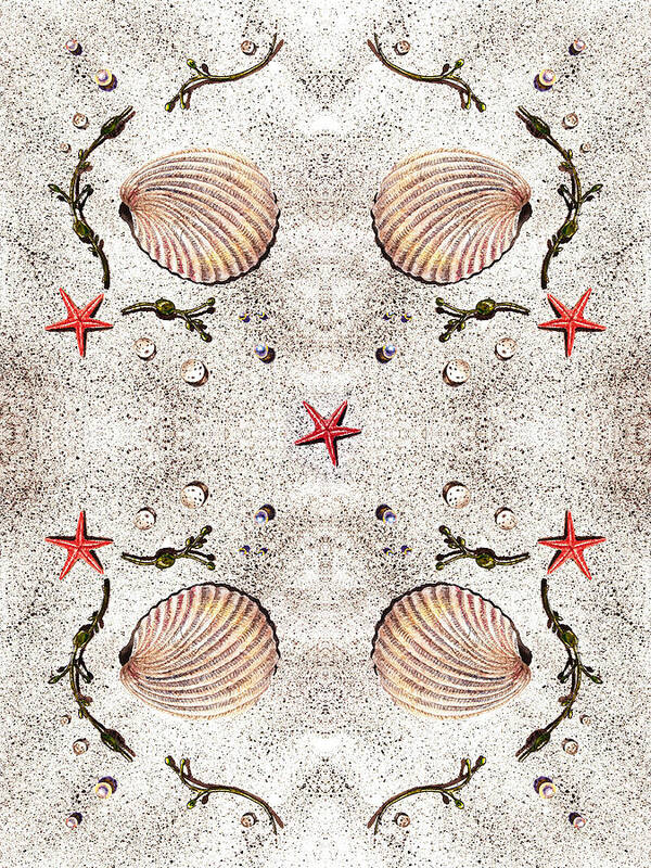 Seashell Poster featuring the painting Seashells Classic Quartet by Irina Sztukowski