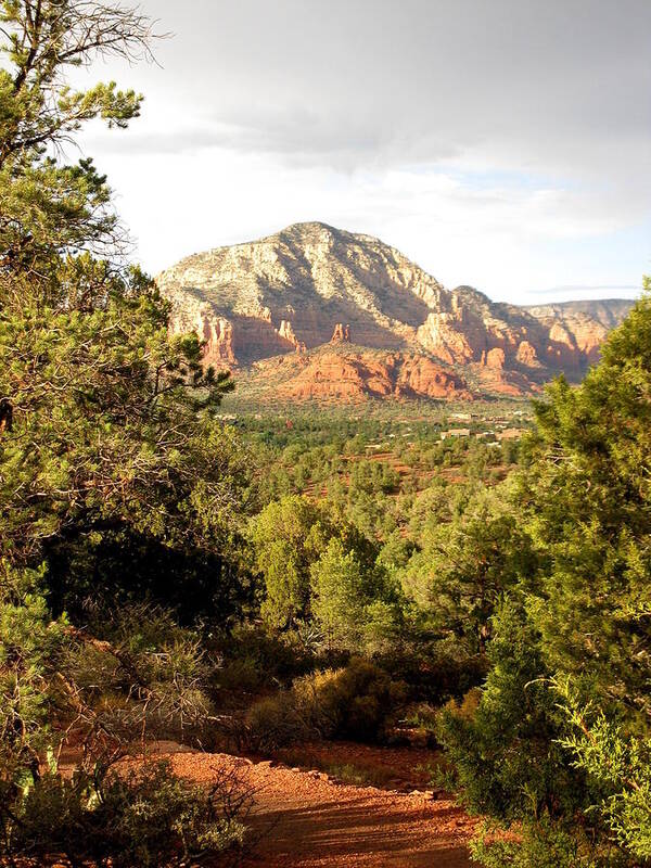 Mountaind Poster featuring the photograph Sedona by Yannick Guerin