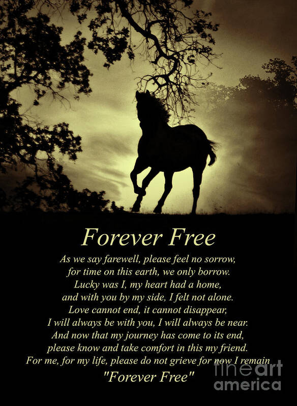 Horse Poster featuring the photograph Sepia Forever Free Spiritual Poem with Horse by Stephanie Laird
