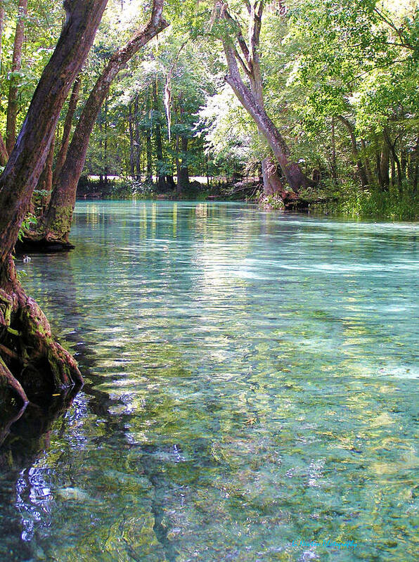 Ginnie Springs Poster featuring the photograph Serenity by Li Newton