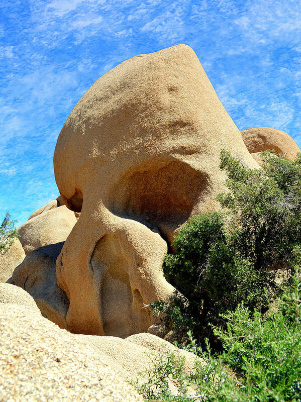 Skull Rock Poster featuring the photograph Skull Rock 2 - Joshua Tree National Park by Glenn McCarthy Art and Photography