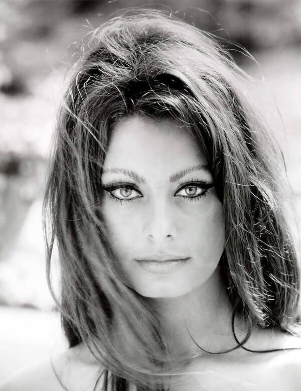 Sophia Loren Poster featuring the photograph Sophia Loren by Georgia Clare