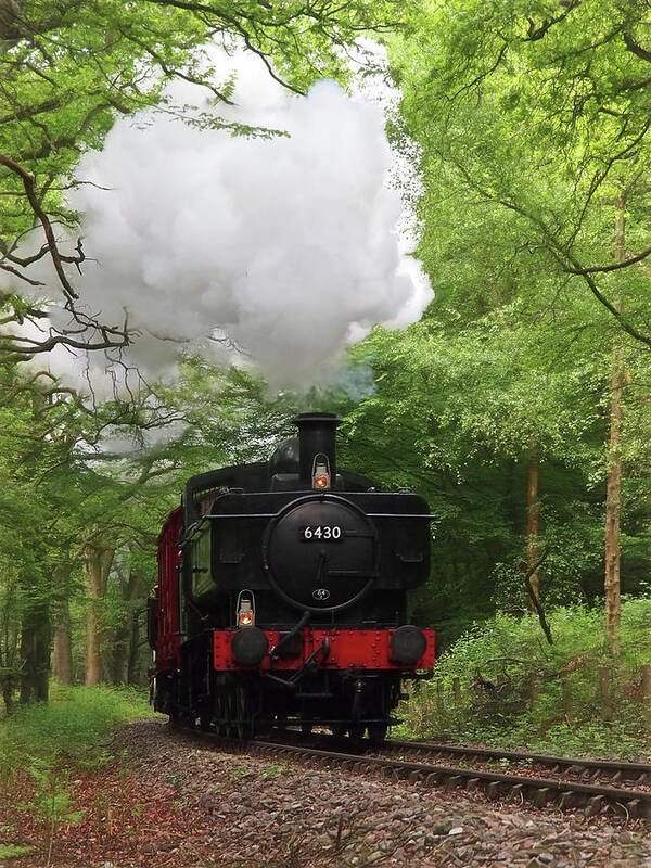 Old Steam Train Poster featuring the photograph Steam Train Approaching in The Forest by Gill Billington