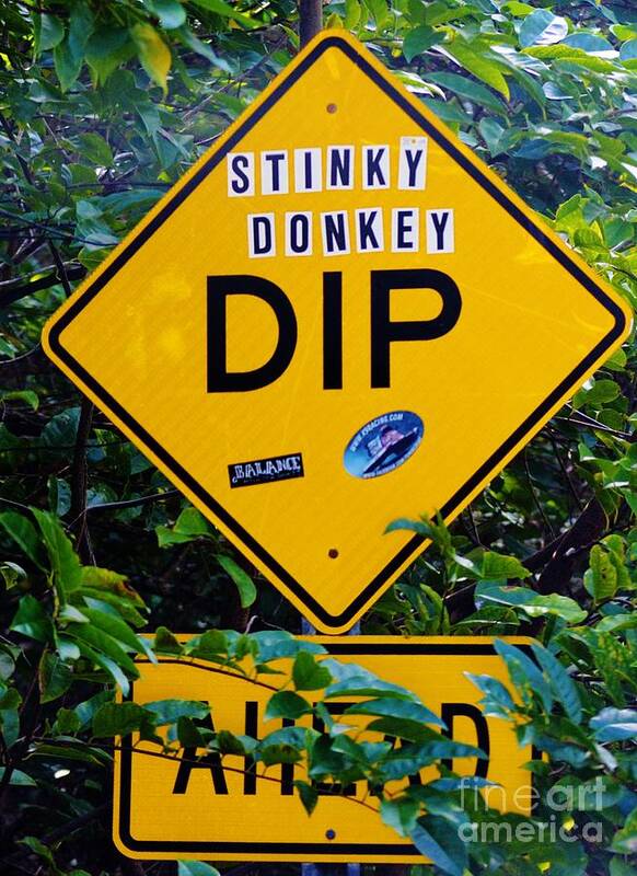 Laugh Poster featuring the photograph Stinky Donkey Dip St. John USVI by Tamara Michael