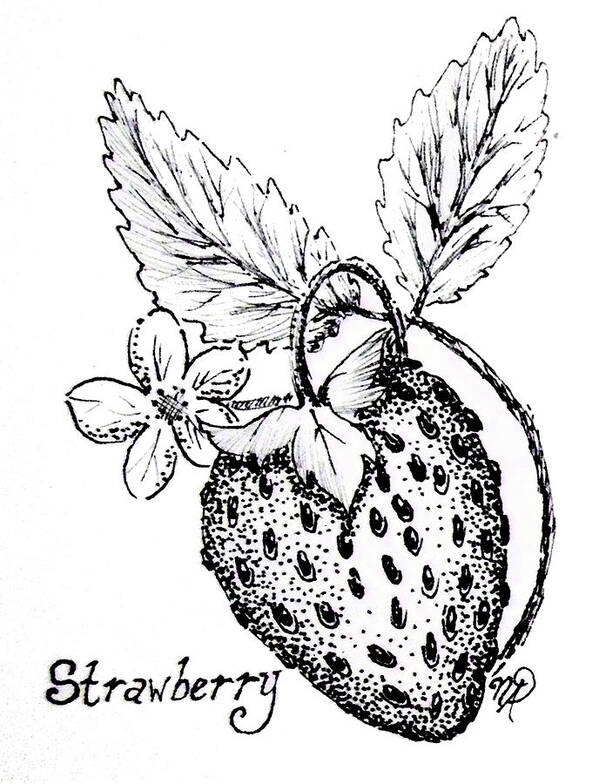 Strawberry Poster featuring the drawing Strawberry Dreams by Nicole Angell
