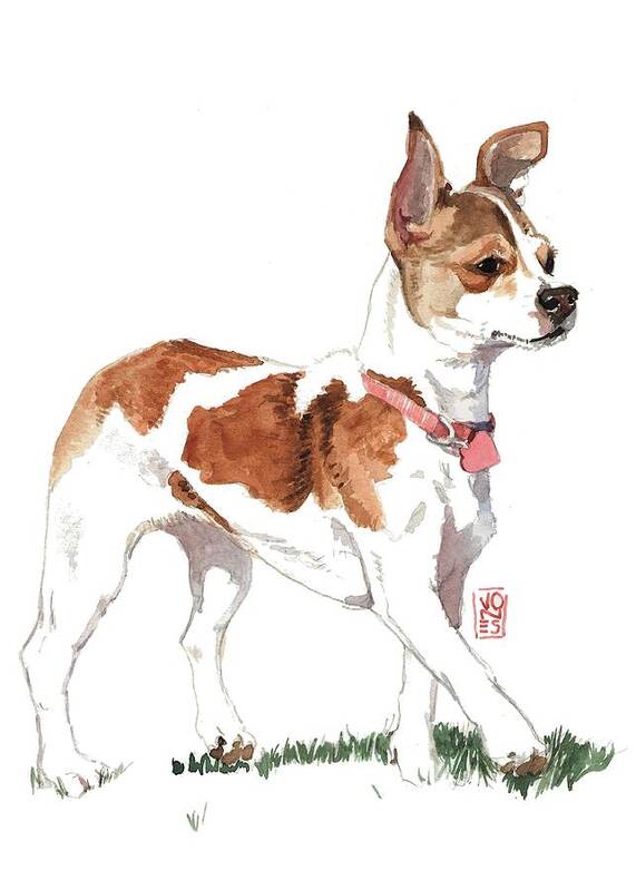 Akc Poster featuring the painting Strutting Chihuahua by Debra Jones