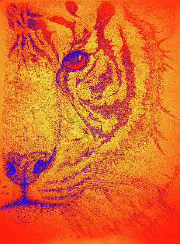  Tigers Digital Art Poster featuring the drawing Sunburst tiger by Mayhem Mediums