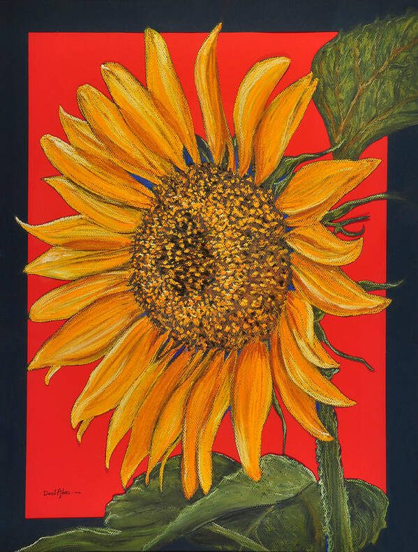 Flower Poster featuring the pastel DA153 Sunflower on Red by Daniel Adams by Daniel Adams