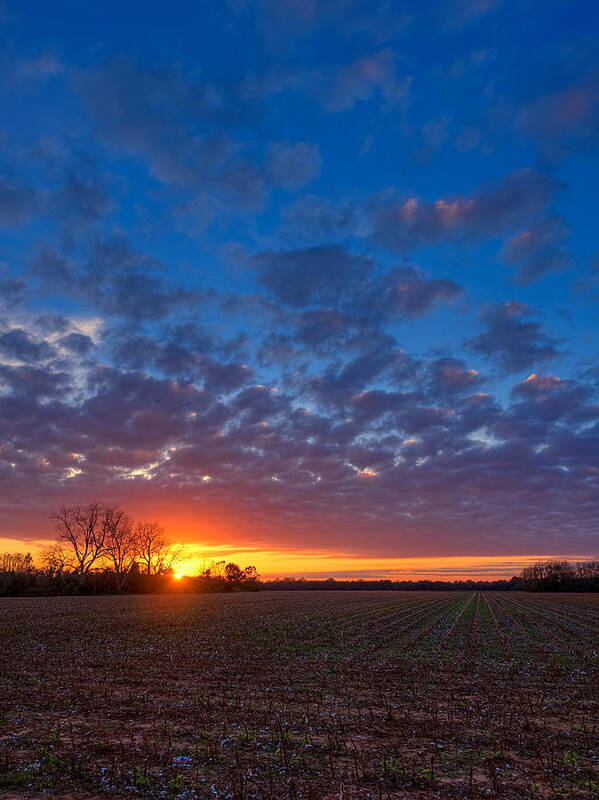 Sunset Poster featuring the photograph Sunset Field by Brad Boland