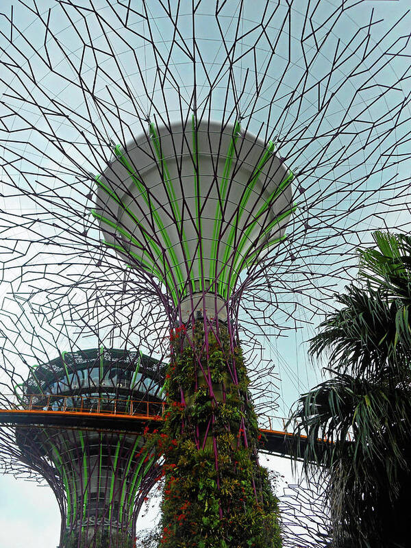 Gardens By The Bay Poster featuring the photograph Super Trees 15 by Ron Kandt