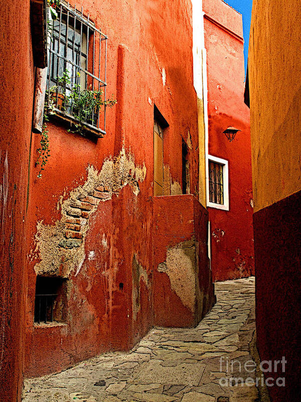Darian Day Poster featuring the photograph Terracotta Alley by Mexicolors Art Photography