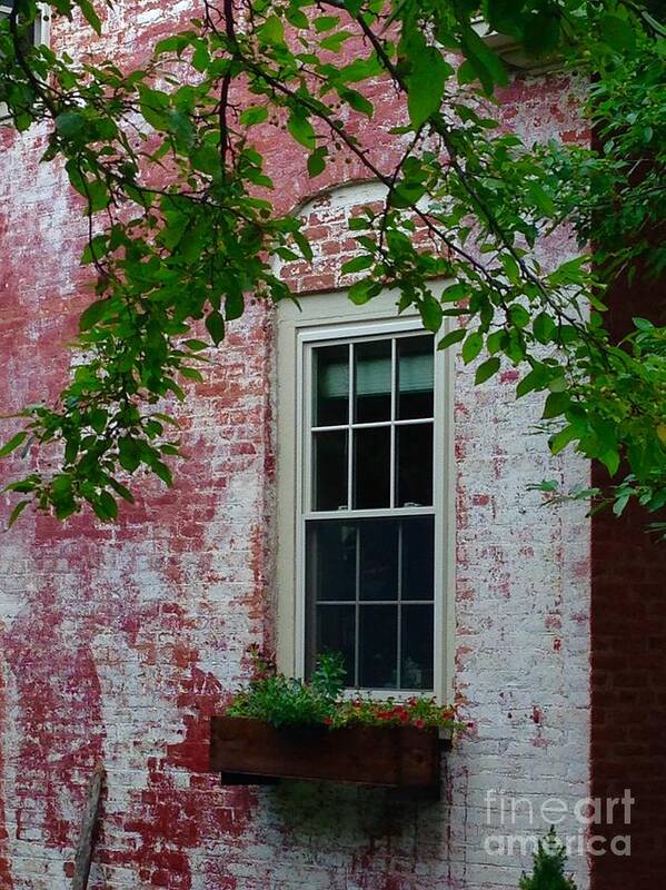 Window Poster featuring the photograph The Brick House by Christy Gendalia
