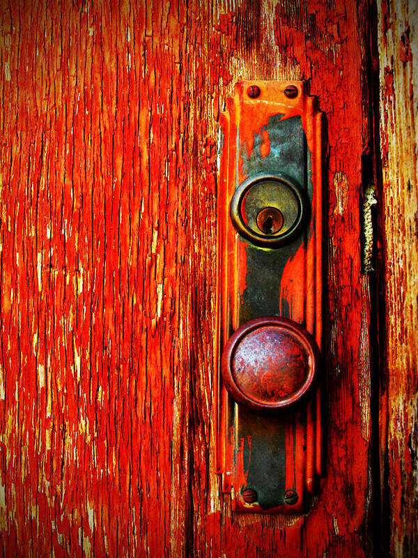 Door Poster featuring the photograph The Door Handle by Tara Turner