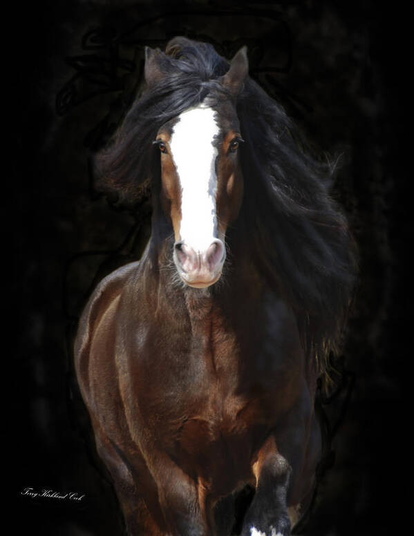 Equine Poster featuring the photograph The English Shire as Art by Terry Kirkland Cook