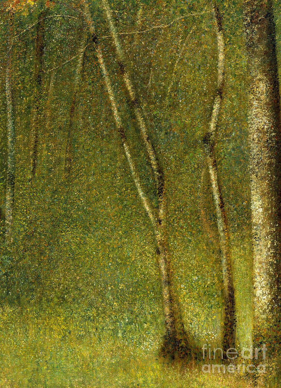 Seurat Poster featuring the painting The Forest at Pontaubert, 1881 by Georges Pierre Seurat