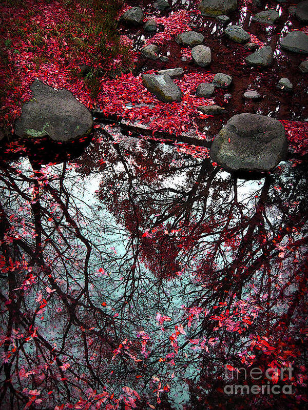 Heart Poster featuring the photograph The Heart of The Forest by Eena Bo