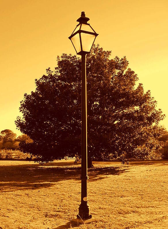Photography Poster featuring the photograph The old lantern in the park by Susanne Van Hulst