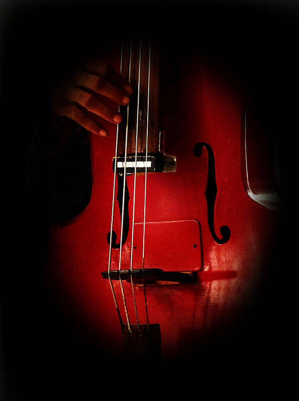 Connie Handscomb Poster featuring the photograph The Red Cello by Connie Handscomb