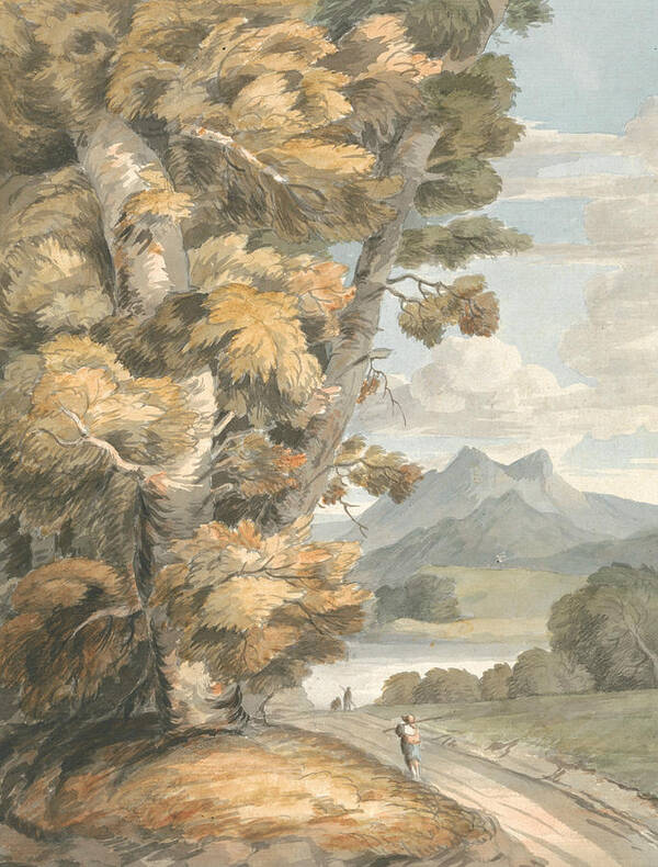19th Century Painters Poster featuring the painting The Road to the Lake by Francis Towne
