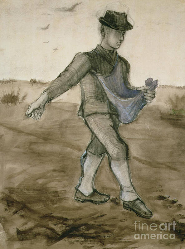 The Sower Poster featuring the drawing The Sower, 1881 by Vincent Van Gogh