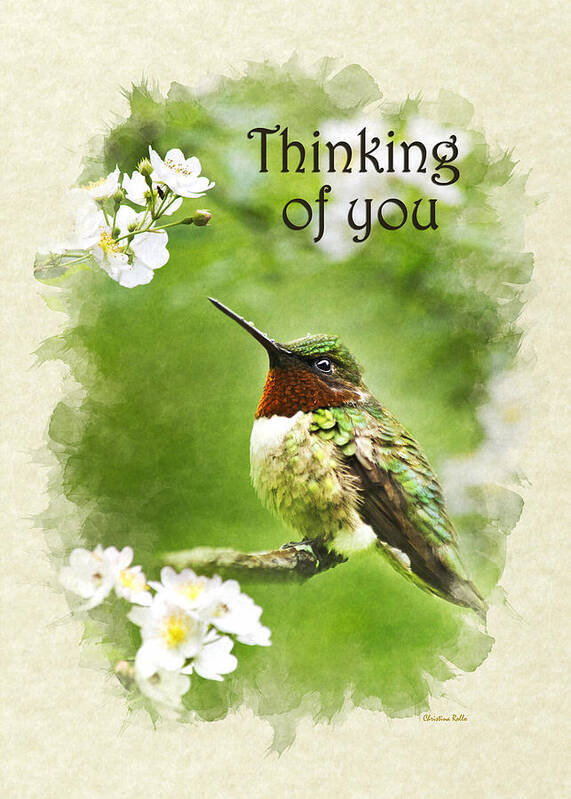 Thinking Of You Poster featuring the mixed media Thinking of You Hummingbird Flora Fauna Greeting Card by Christina Rollo