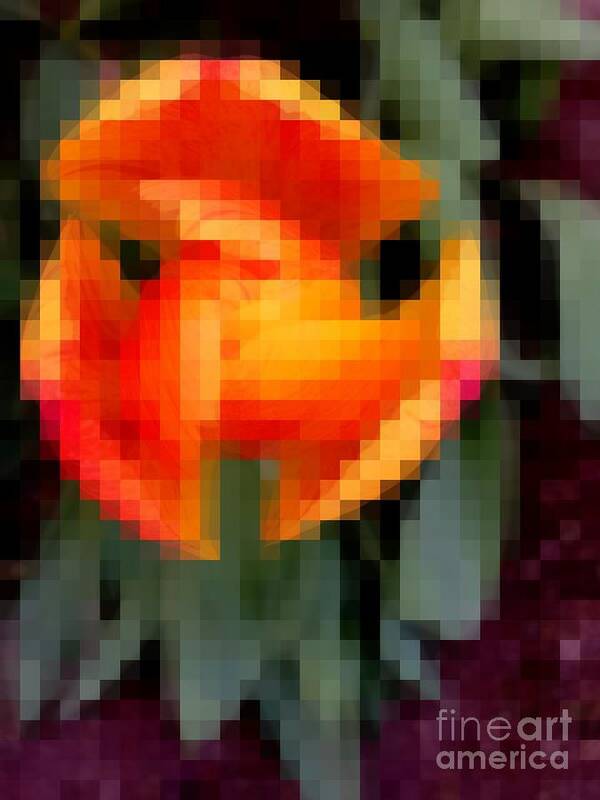 Tulip Poster featuring the photograph Tulip 1 Honoring Princess Diana by Richard W Linford
