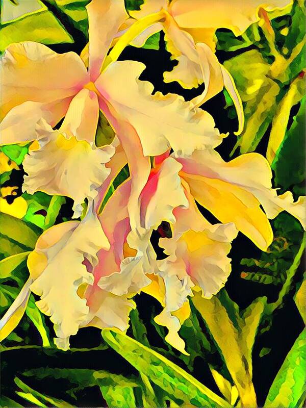 #flowersofaloha #flowers # Flowerpower #aloha #hawaii #aloha #puna #pahoa #thebigisland #twoorchidsinyellow #orchids #yellow #two Poster featuring the photograph Two Orchids in Yellow by Joalene Young