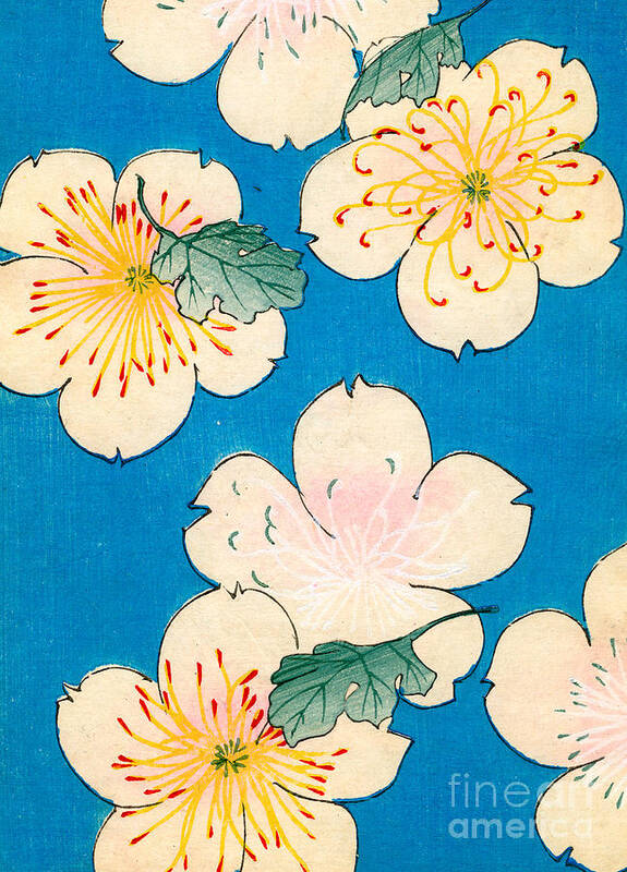 #faatoppicks Poster featuring the painting Vintage Japanese illustration of dogwood blossoms by Japanese School