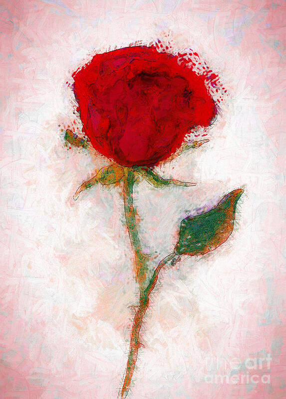 Rose Poster featuring the painting Vintage Red Rose by Claire Bull