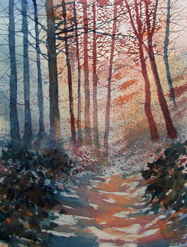 Glenn Marshall Yorkshire Artist Poster featuring the painting Wander in the Woods by Glenn Marshall