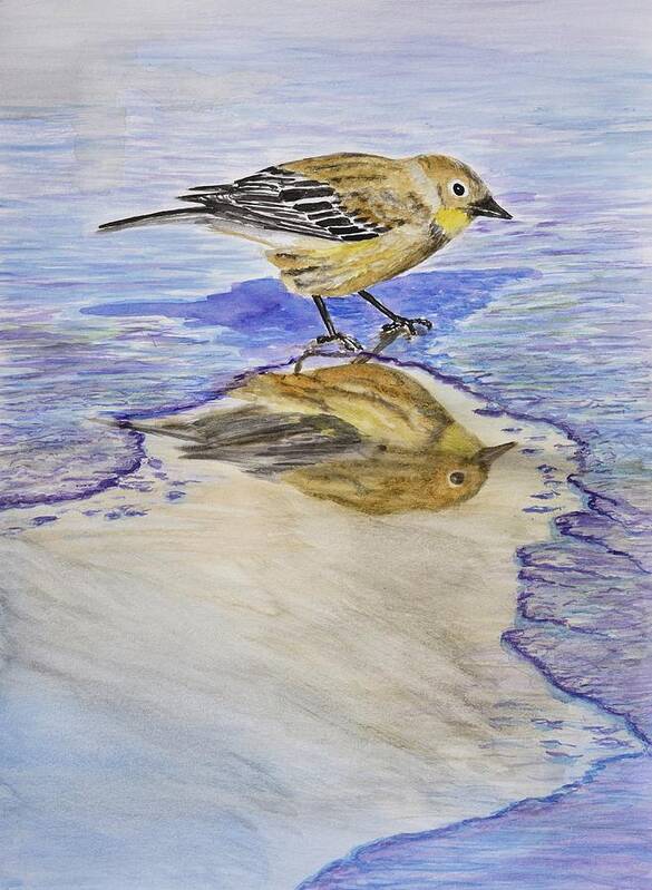 Linda Brody Poster featuring the painting Warbler Reflection I Watercolor by Linda Brody