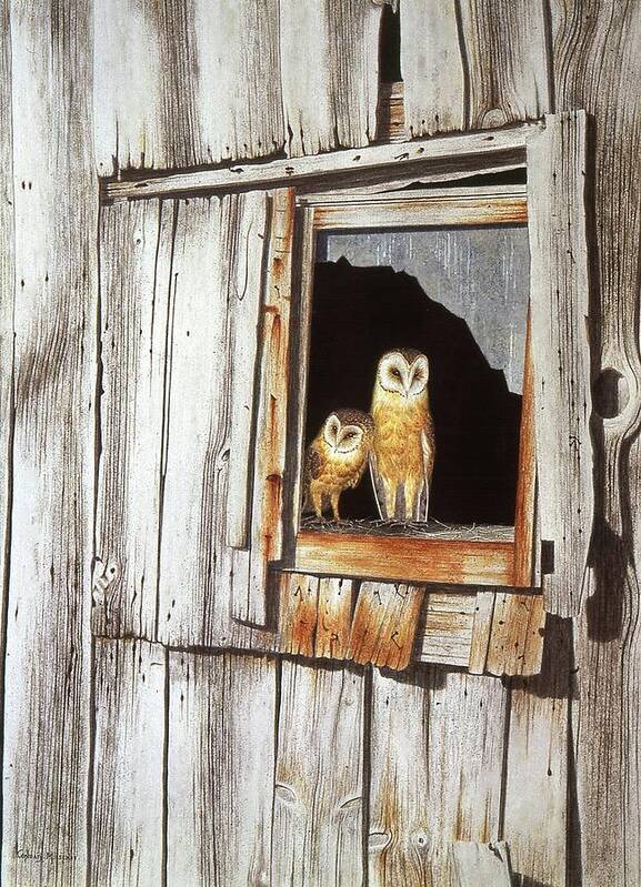 Owl Poster featuring the painting Watching the World go by by Conrad Mieschke