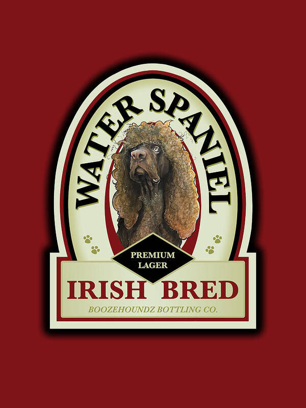 Beer Poster featuring the drawing Water Spaniel Irish Bred Premium Lager by John LaFree