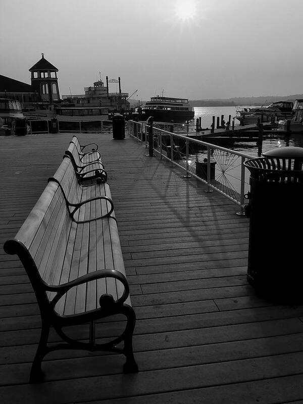 Bench Poster featuring the photograph Waterfront Benches II by Steven Ainsworth