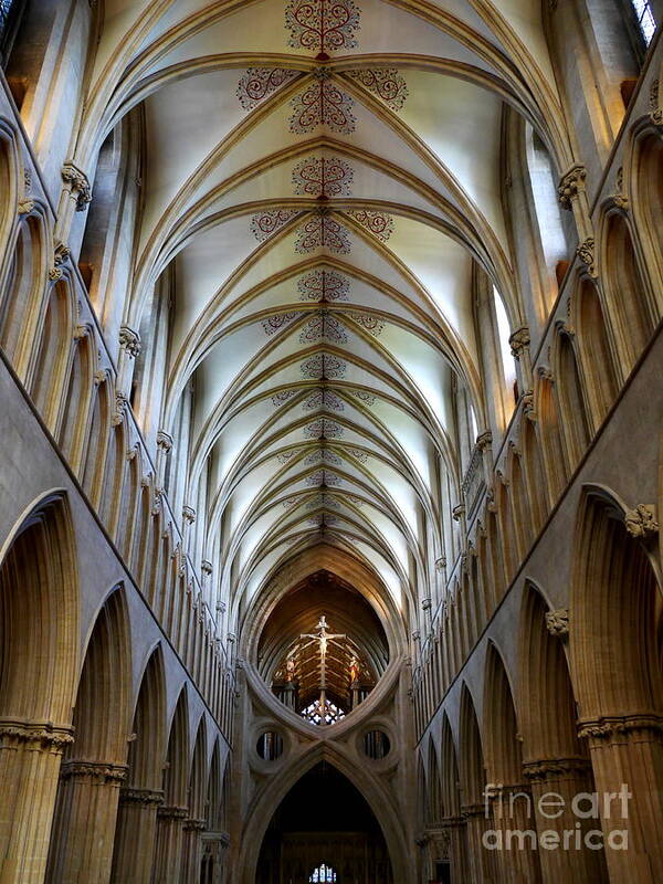 Churches Of The World Series By Lexa Harpell Poster featuring the photograph Wells Cathedral Ceiling by Lexa Harpell