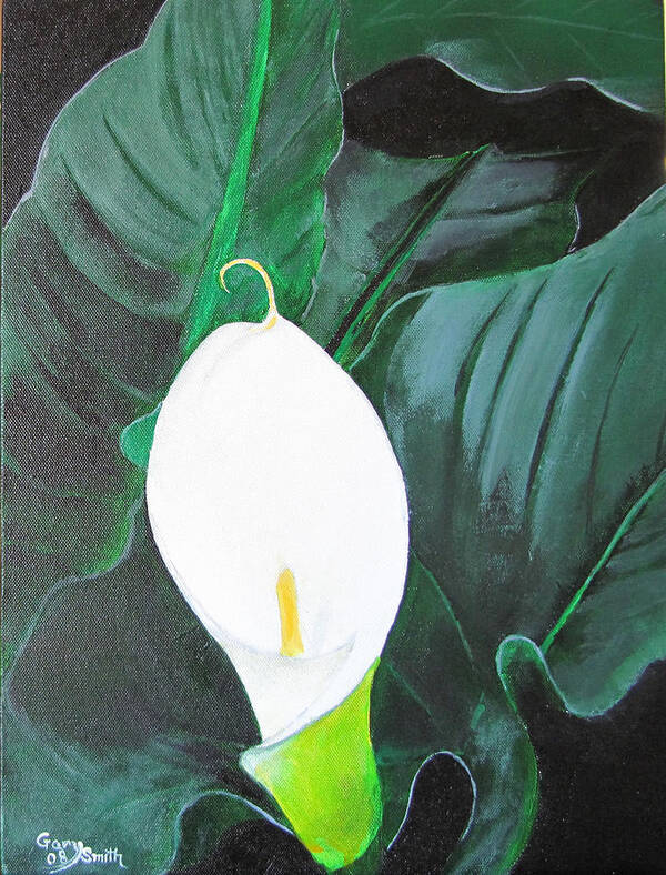 Flower Poster featuring the painting White Cala Lily by Gary Smith