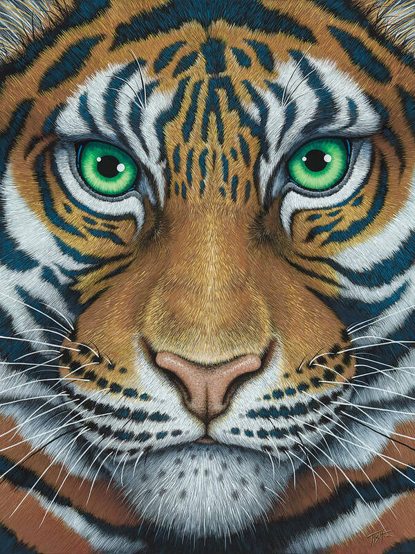 Tiger Poster featuring the painting Wils Eyes Tiger face by Tish Wynne