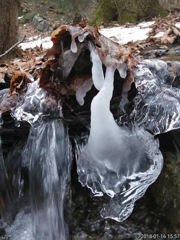 Nature Poster featuring the photograph Winter Water Flow 5 by Robert Nickologianis