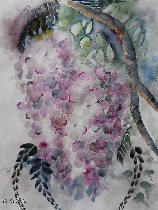 Watercolor Poster featuring the painting Wisteria by Carol Crisafi