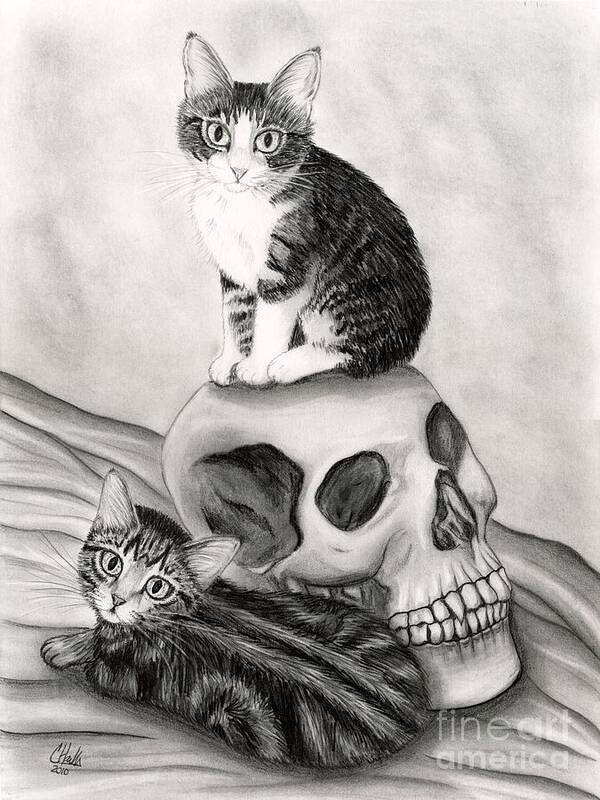 Tabby Cat Poster featuring the drawing Witch's Kittens by Carrie Hawks