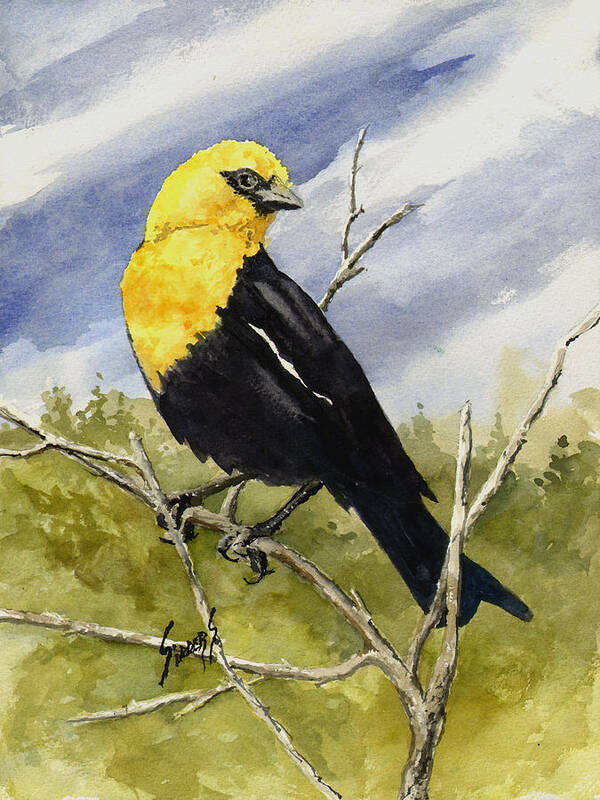 Wings Poster featuring the painting Yellow-Headed Blackbird by Sam Sidders