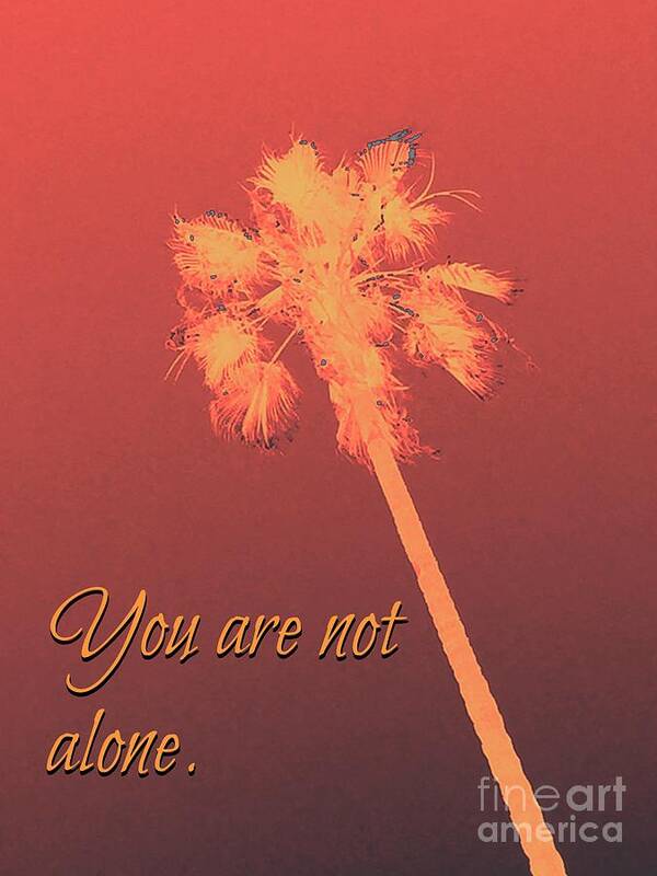 500 Views Poster featuring the photograph You Are Not Alone by Jenny Revitz Soper