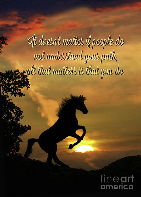 Horse Poster featuring the photograph Your Path by Stephanie Laird