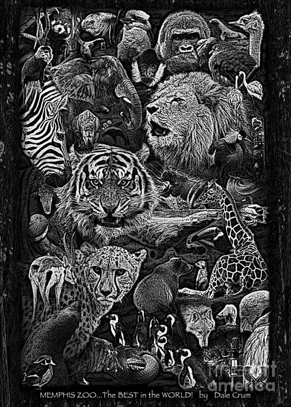 Giraffe Poster featuring the photograph Zoo Collection 1 L Wd Bw by Dale Crum